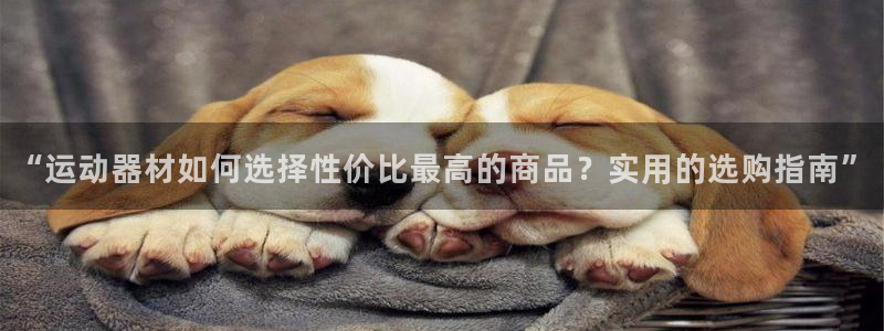 米兰体育官方正版app集团logo:“运动器材如何选择性价比