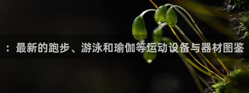 米兰体育官网下载软件::最新的跑步、游泳和瑜伽等运动设备与器