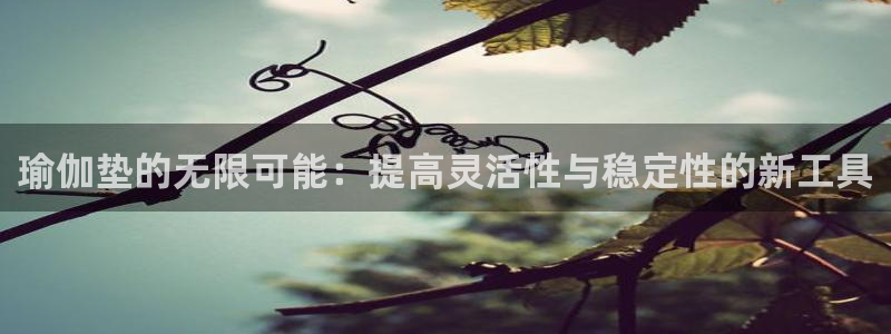 米兰体育官方正版app娱乐代理怎么样:瑜伽垫的无限可能:提高