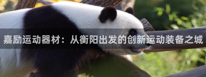 米兰体育官网下载平台假的吗是真的吗:嘉励运动器材:从衡阳出发