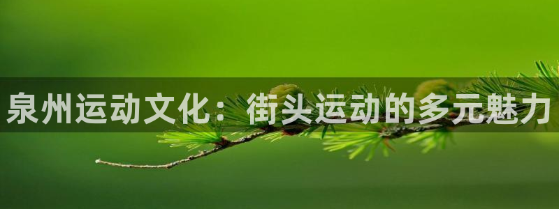 米兰体育官网下载招商:泉州运动文化:街头运动的多元魅力