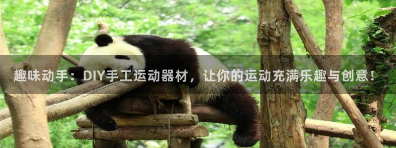 米兰体育官网下载招商电话号码:趣味动手:DIY手工运动器材,